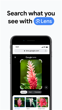 谷歌浏览器app下载