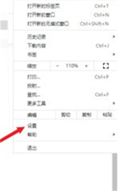 谷歌浏览器海外版