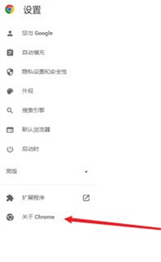 谷歌浏览器海外版