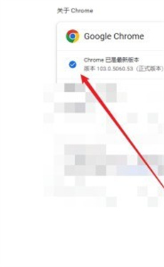 谷歌浏览器海外版