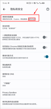 谷歌浏览器海外版