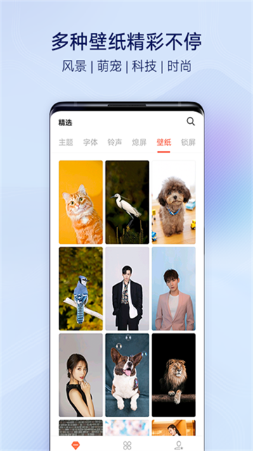 vivo主题商店免费版