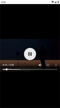 bilidown手机版